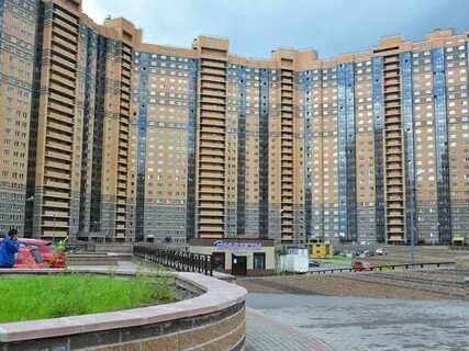 Авито спб парнас