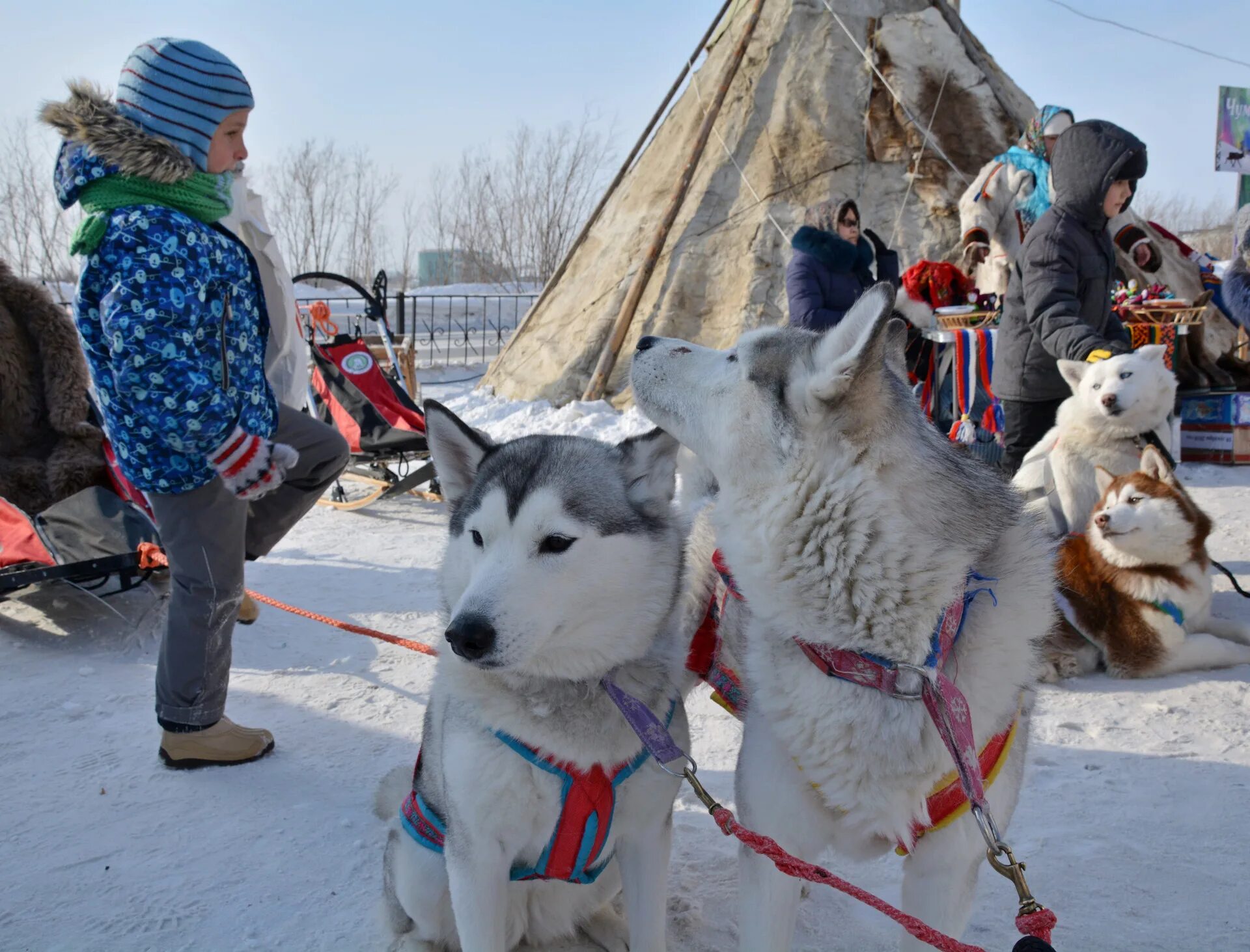 Северные развлечения. Праздник городов севера. Фестиваль народов севера. Праздники и традиции народов севера. Праздники северных народов.