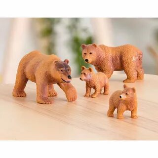 The bear family