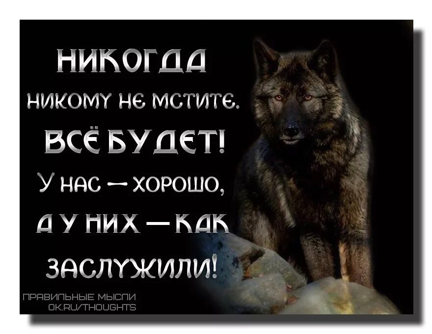 Я не была твоим врагом читать полностью. Не надо мстить цитаты. Крутые цитаты про месть. Статусы о мести со смыслом. Мстить цитаты.