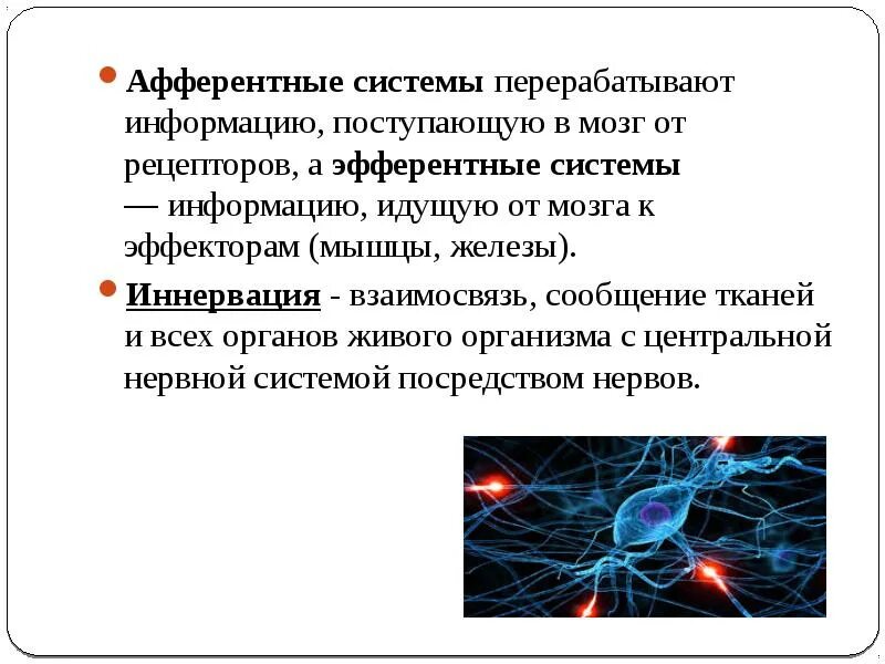 Эмферетное иннервация. Типы афферентных волокон. Афферентные нервы это. Афферентный отдел периферической нервной системы. Эфферентная нервная система.