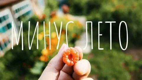 Зачем это лето минусовка