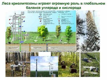 Баланс углерода