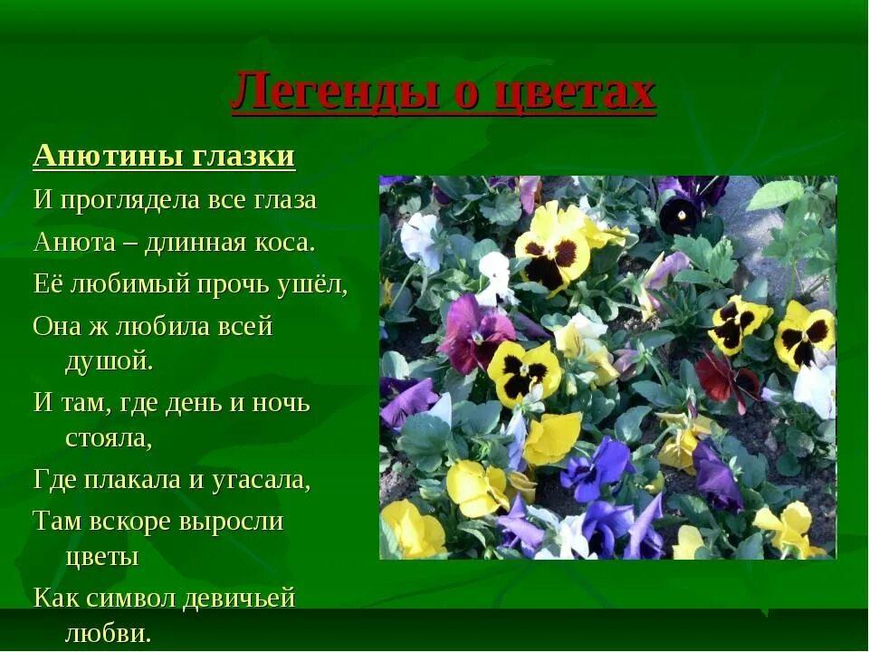 Расскажите о значении растений