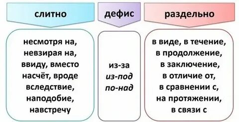 Как пишется несмотря или несмотря