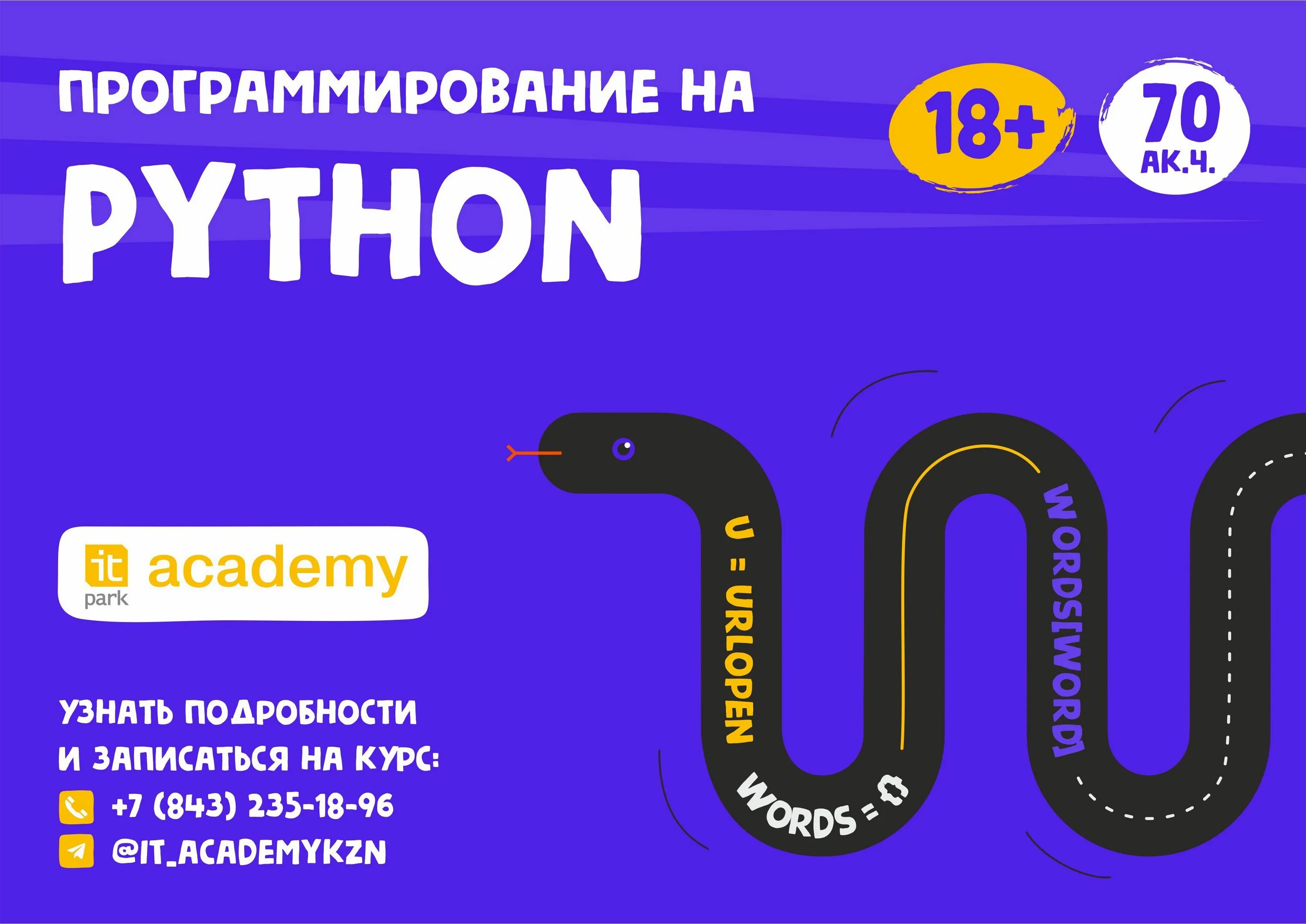 Курс python. Курс программирования питон. Курсы по питону. Курсы питон. Курсов по программирования на Python.