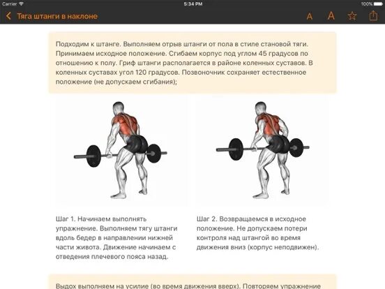Тяга штанги в наклоне к поясу какие мышцы работают. Тяга грифа в наклоне к поясу техника. Тяга штанги к поясу в наклоне обратным хватом техника выполнения. Тяга штанги стоя в наклоне техника. Тяга к поясу техника выполнения.