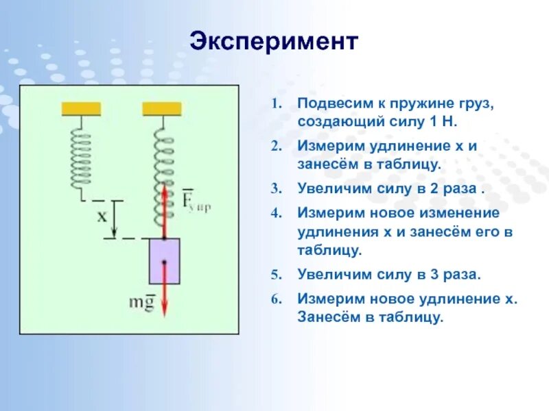 Сила упругости 7 класс физика. Сила упругости пружины 7 класс. Точка приложения сила упругости 7 класс физика. Физика сила упругости закон Гука. Учащиеся на уроке последовательно подвешивали