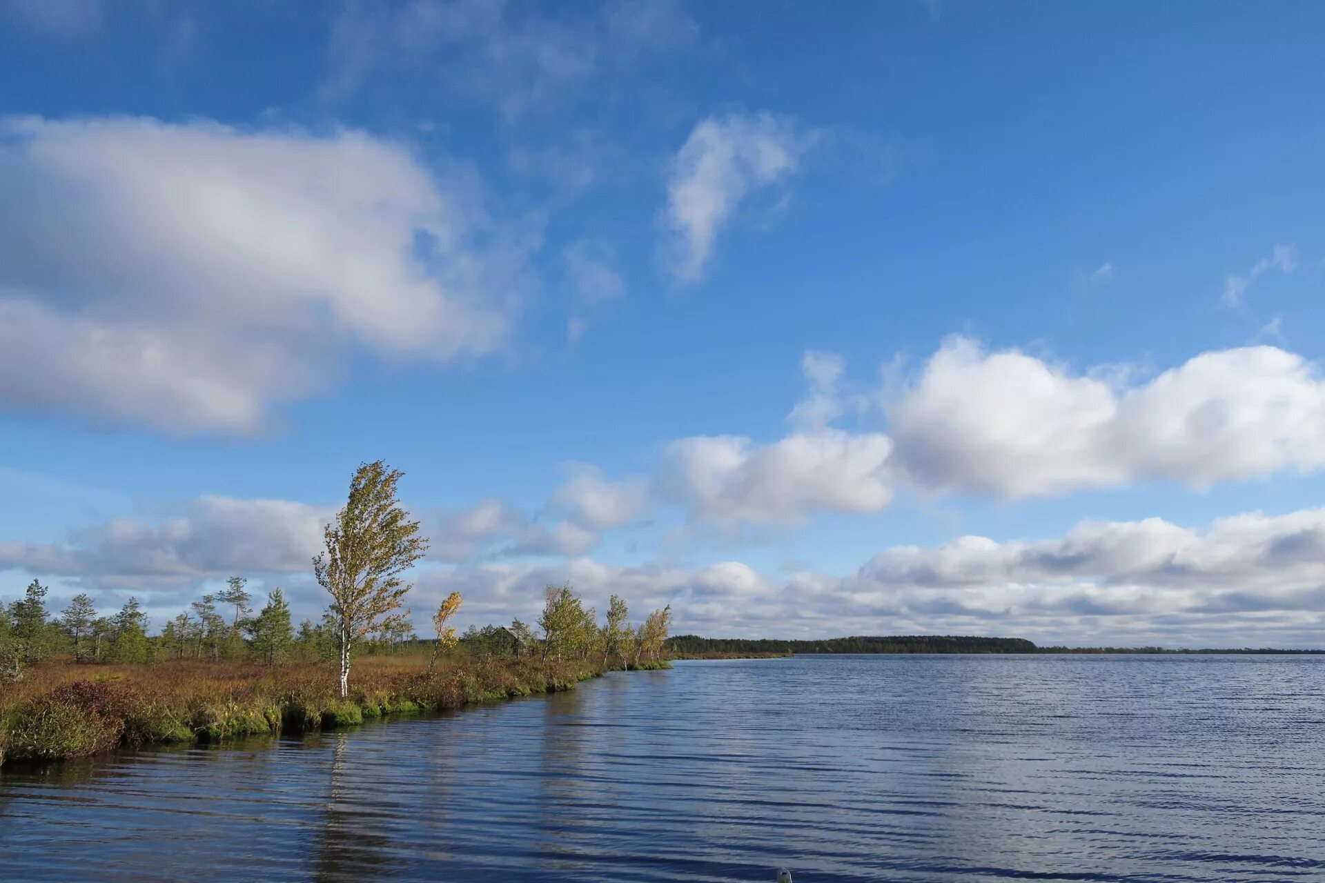 озеро балбанты республика коми. параськины озера ухта. кадомское озеро республики коми. горное озеро республика коми. синдорское озеро республика коми.