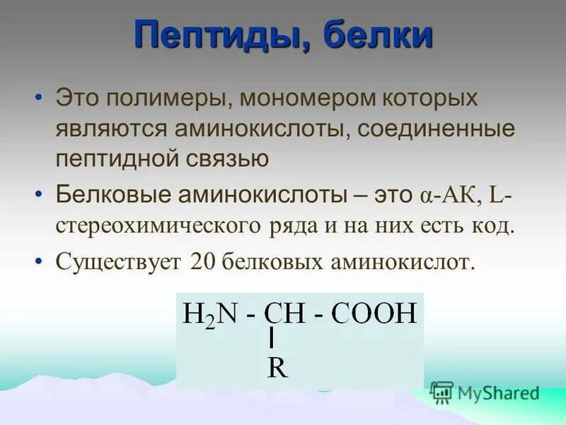 белки это полимеры мономерами которых. строение белковой молекулы. белки это полимеры мономерами которых являются. белки это полимеры мономерами которых являются. полимеры мономерами которых являются аминокислоты.