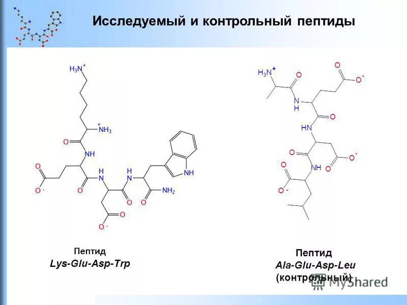 трипептид вал-асп-фен формула. трипептид асп вал фен. Glu пептид. вал фен лей трипептид. пептид асп.