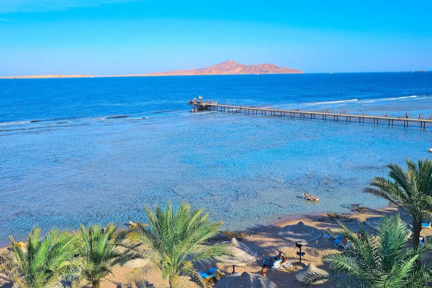 Какое море в шарм эль. Tamra beach resort 4*. красное море шарм-эль-шейх. пляжи шармаль шейха. тамра бич резорт шарм-эль-шейх.