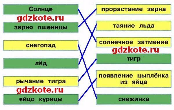 Закрасьте зеленым цветом