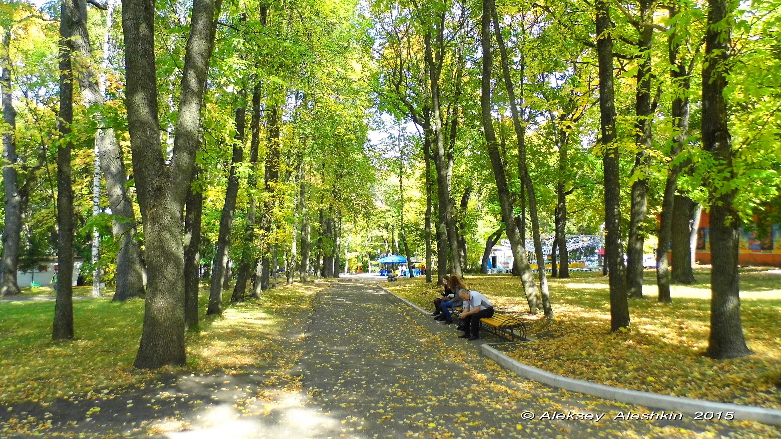 Сайт парка пенза. Парк Белинского Пенза. ЦПКИО им Белинского Пенза. Парк культуры имени Белинского в Пензе. Пенза парк ЦПКИО.