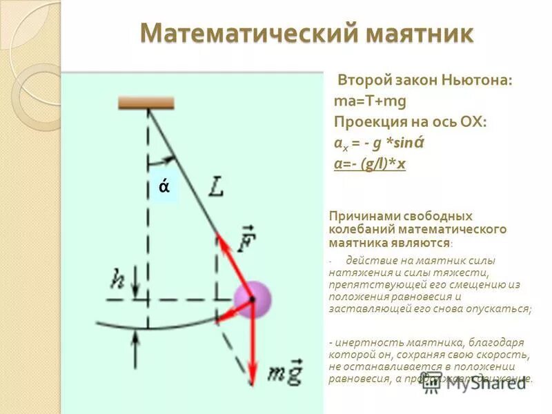 Движение маятника. Математический маятник на оси. Законы колебания математического маятника. Силы действующие на маятник. Силы действующие на математический маятник.