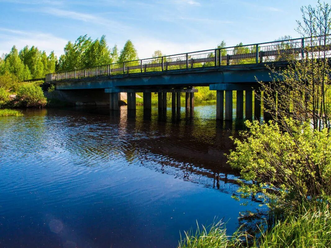 Гусь хрустальный вода. Река Колпь Бабаево. Река Колпь Владимирская. Река Колпь Владимирская область Гусь-Хрустальный. Колпь Гусь-Хрустальный.