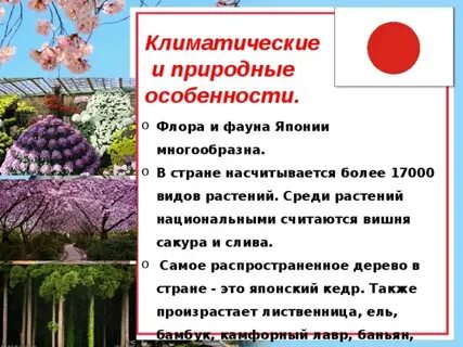 В чем состояло своеобразие природных условий японии