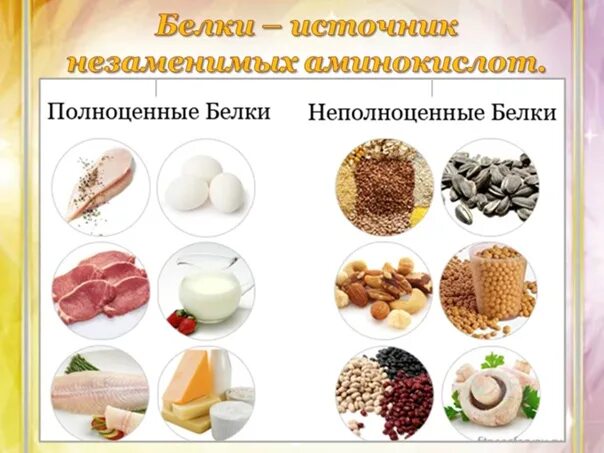 Что входит в белковую. Источники белка таблица. Белок в продуктах. Белки продукты. Какие продукты богаты белками.