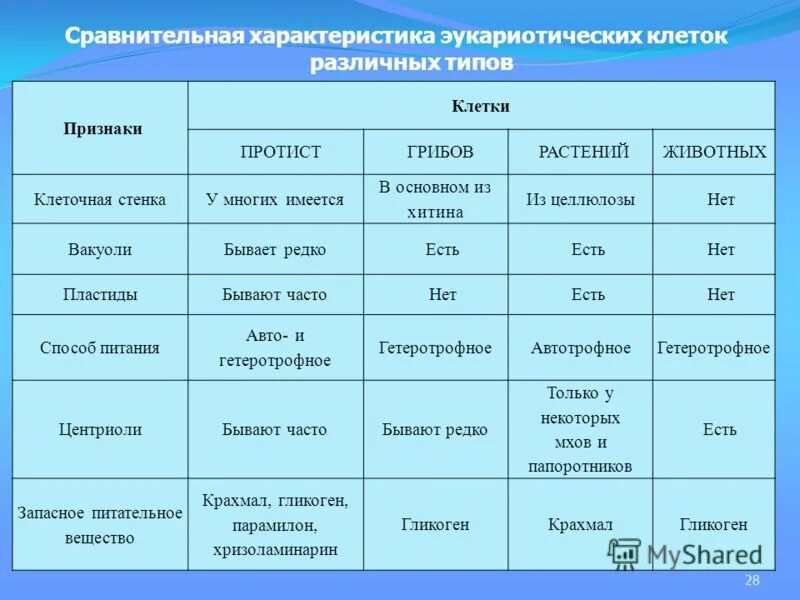 Сравнение бактерий грибов и растений. Сравнение клеток разных Царств эукариот таблица 9. Сравнение клеток различных Царств эукариот таблица. Сравнение клеток разных Царств эукариот таблица. Сравнение клеток разных Царств эукариот таблица 9 класс.