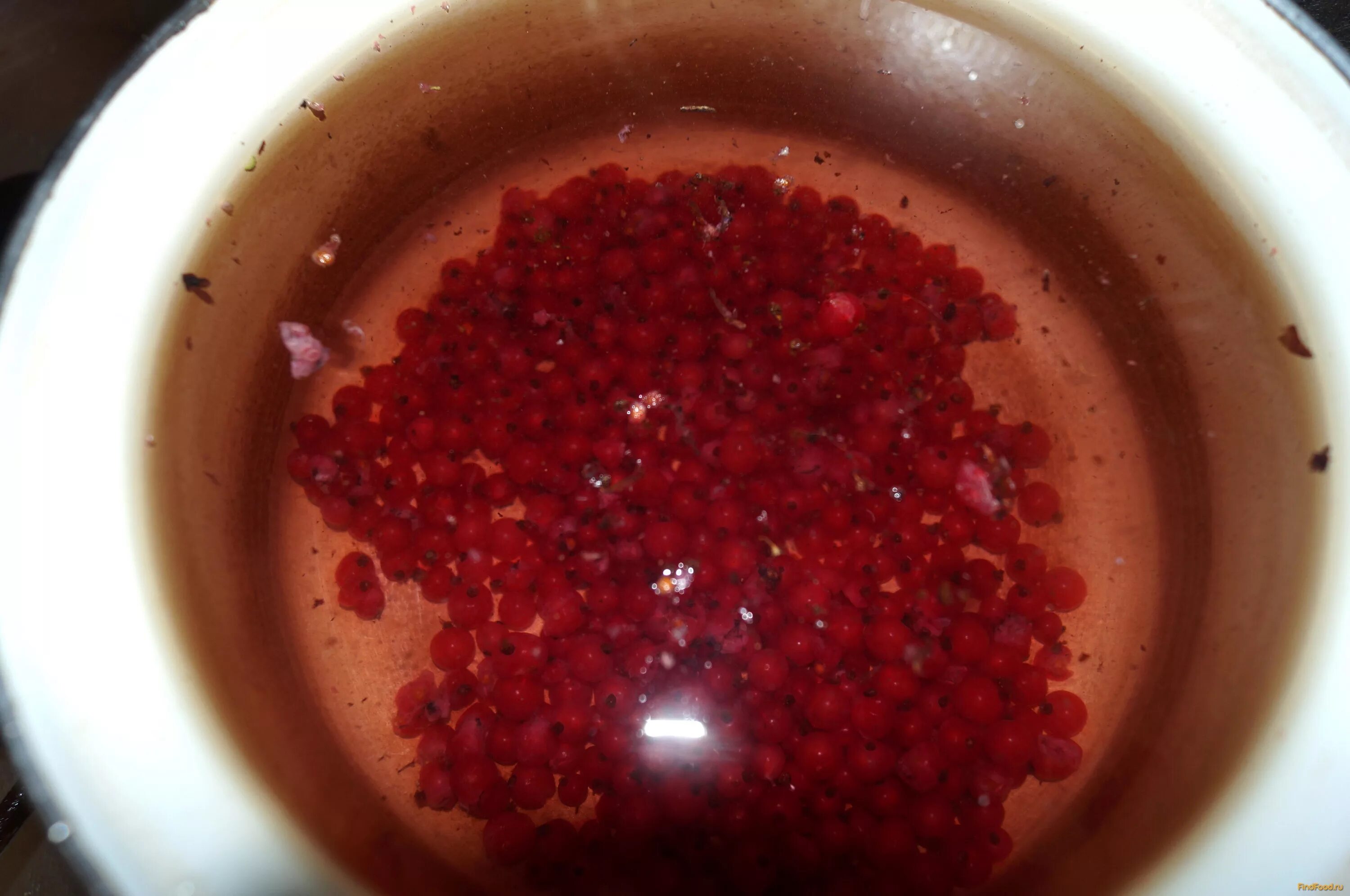 кастрюля с ягодами. компот из свежезамороженных ягод. компот из чёрной смородины на зиму. компот черная смородина. семена красной смородины.