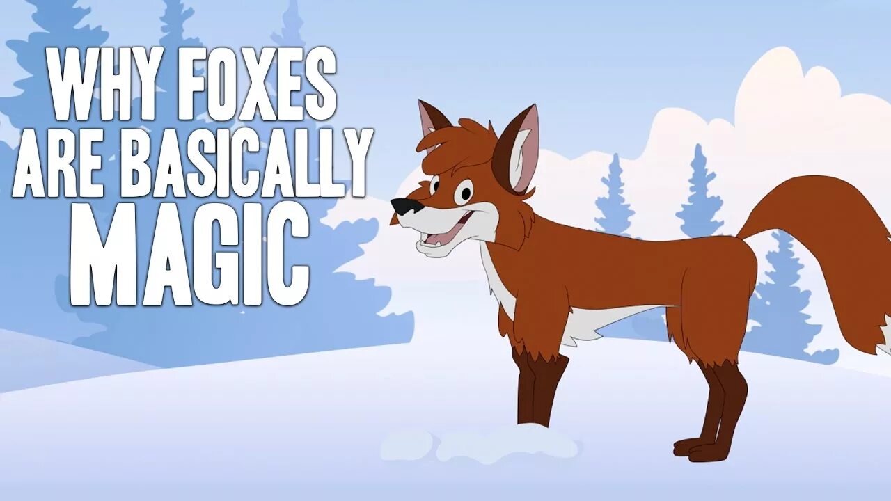 Foxes инстаграм. Мэджик Фокс. Magic Fox Instagram. Why Fox.