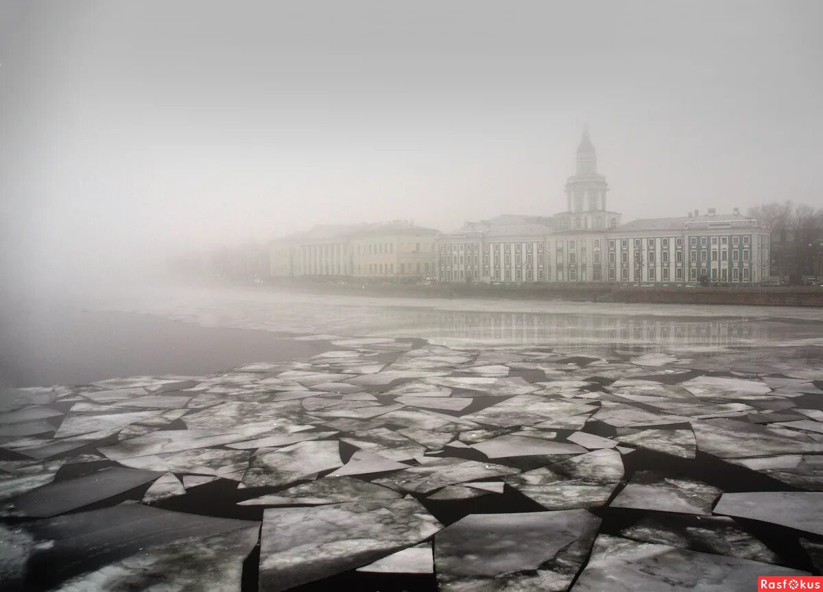 Холодный туман спб. Холодный туман спб. Дымка над петербургом. Питер в тумане. Питер в тумане зимой.