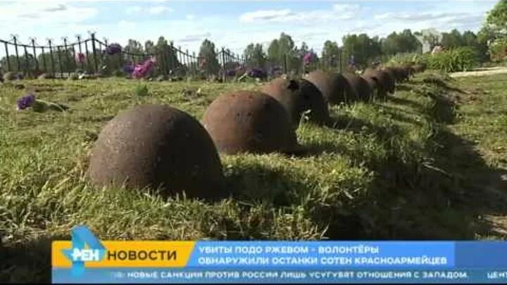 В болотах подо ржевом. Захоронения погибших подо Ржевом. Я убит подо Ржевом.