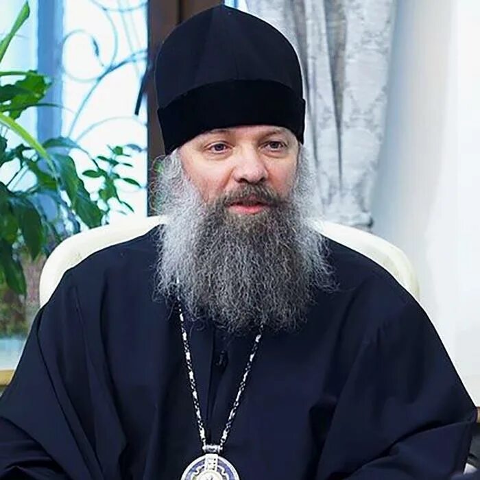 Владыка питирим. Епископ питирим скопинский. епископ скопинский и шацкий питирим творогов. епископ питирим скопинская епархия. епископ звенигородский питирим.