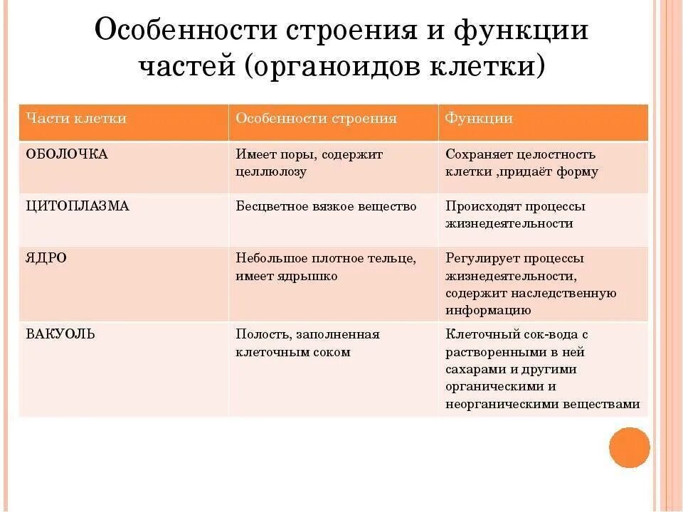 Строение клетки свойства функции. Строение клетки структура строение функции таблица. Таблица строение клетки часть клетки строение и функции. Строение клетки функции органоидов клетки таблица. Строение клетки органоиды и их функции.