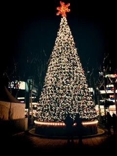 Walking around christmas tree