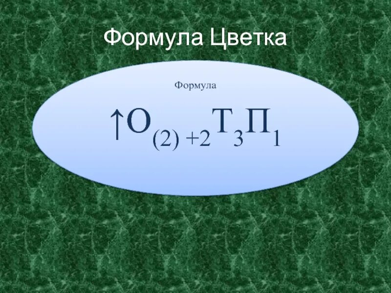 Формула цветка о 2 2т3п1. О2+2т3п1 формула цветка. Формула злаковых. Формула цветка о2+2т3п1 характерна. Злаки формула цветка.