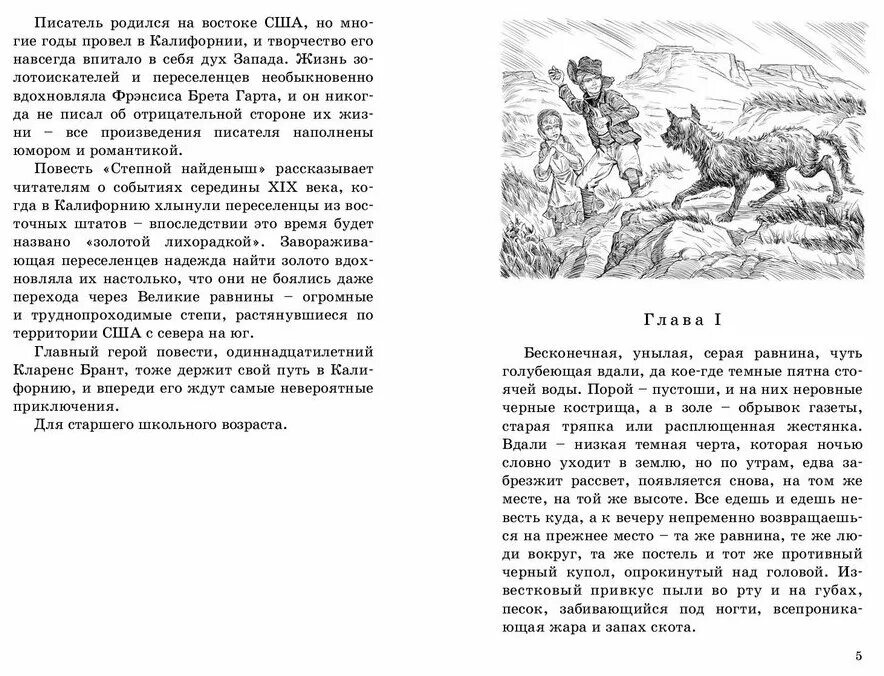 Найденыш часть. Степной найдёныш Брет Гарт книга. Книга "Степной найденыш" Гарт. Гарт Брет "Степной найденыш". Брет Гарт Степной найдёныш иллюстрации.