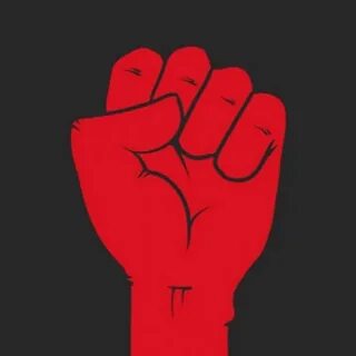 Fist 24