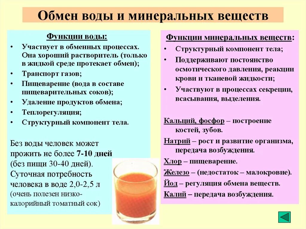 Водный обмен в организме. Обмен минеральных веществ. Минеральный метаболизм. Минеральный метаболизм. Минеральный метаболизм.