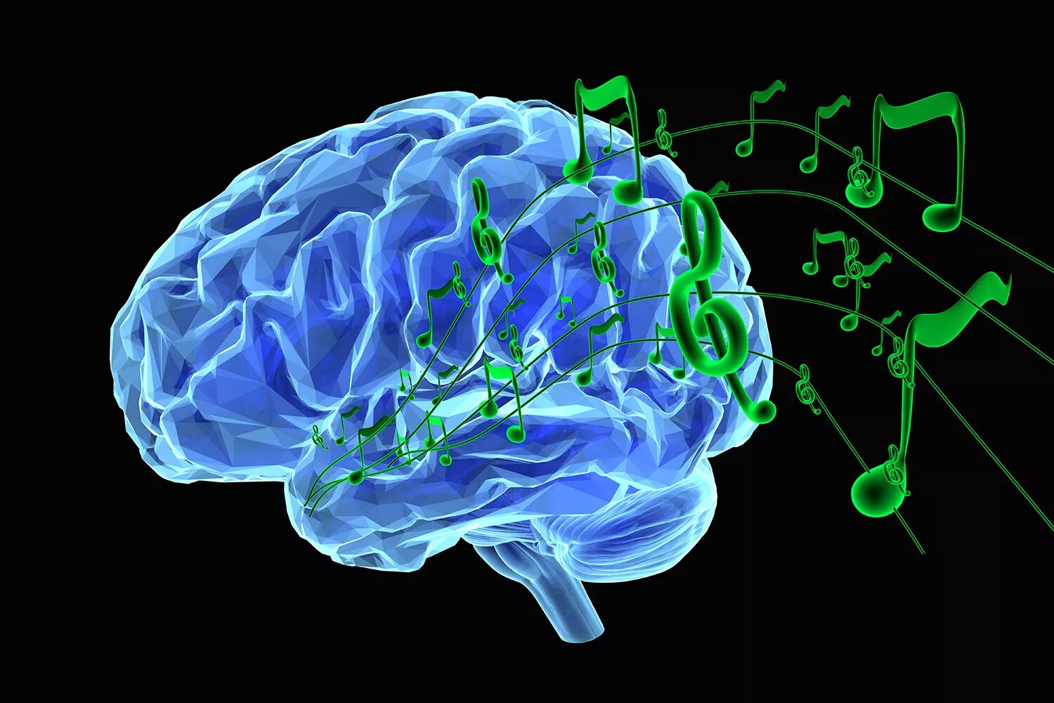 He is a brain. Изображение мозга. Головной мозг.