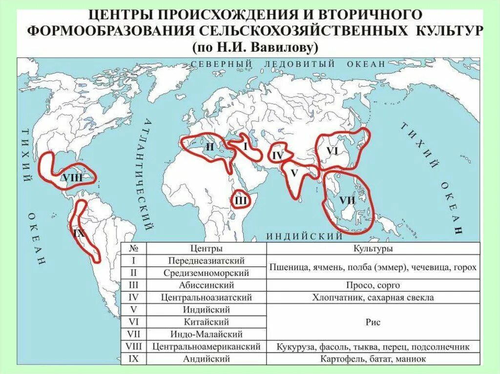 Сколько центров происхождения культурных. Очаги происхождения культурных растений. Вавилов центры происхождения культурных растений карта. Центры культурных растений Вавилова. Карта Вавилова центры происхождения культурных растений.