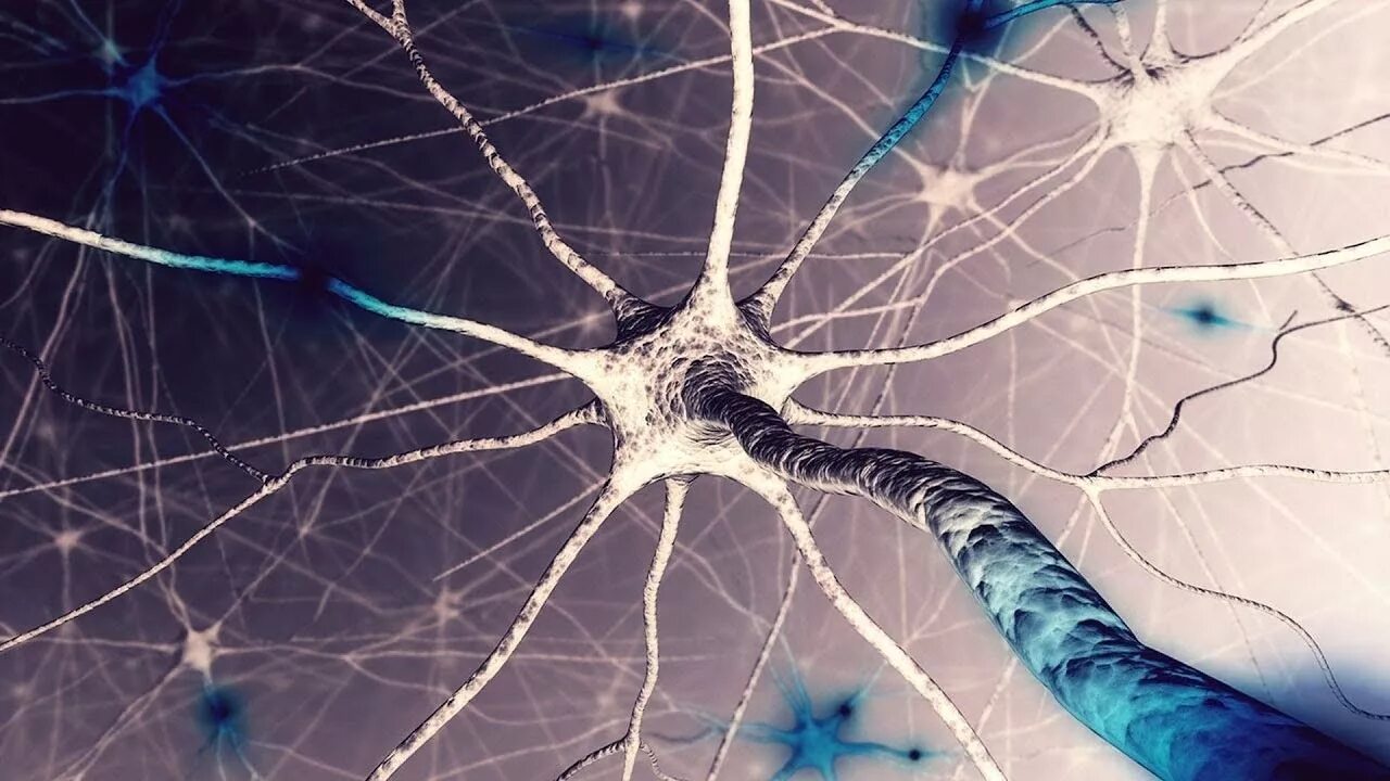сеть нейронов. нервные клетки микрофотография. нервная клетки микротография. нейрональные стволовые клетки. нейрон микрофотография.