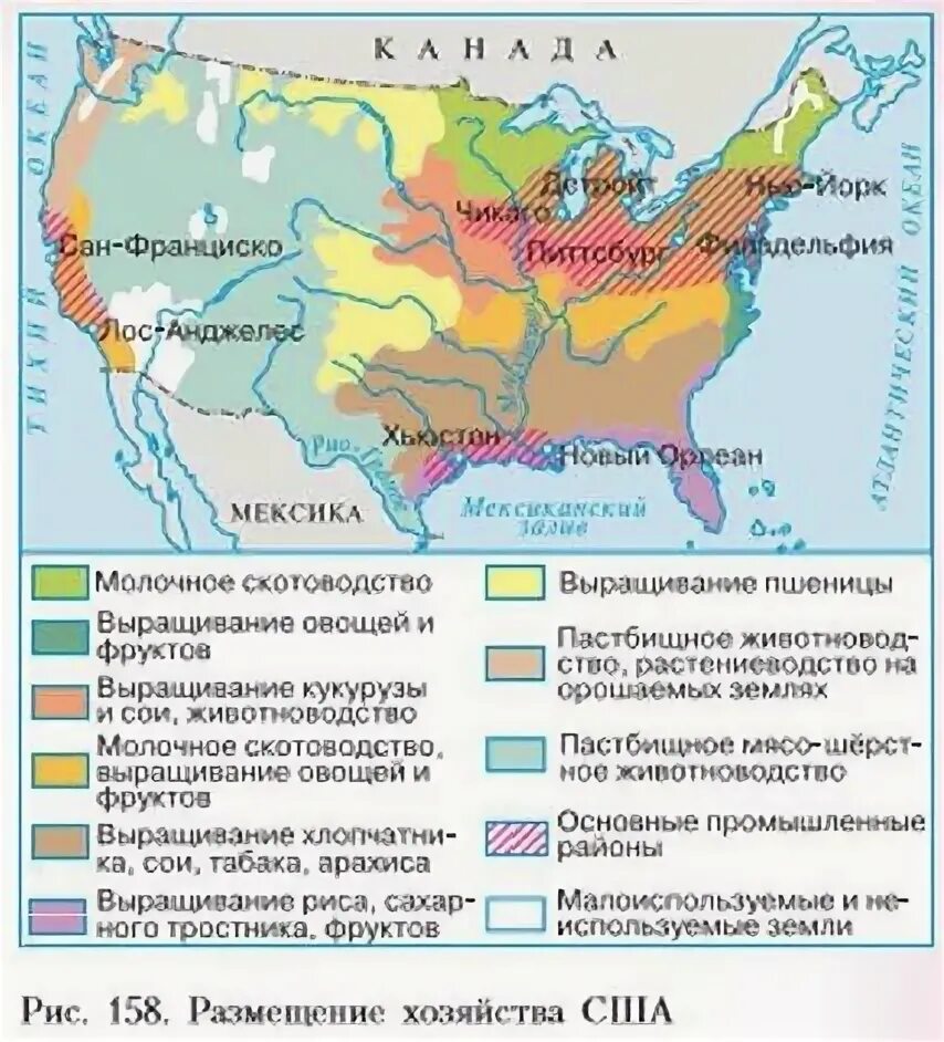 Сельское хозяйство Северной Америки карта. Сельскохозяйственные пояса США на карте. Сельское хозяйство США кукурузный пояс. Сельскохозяйственная специализация районов США. Главные сельскохозяйственные районы сша
