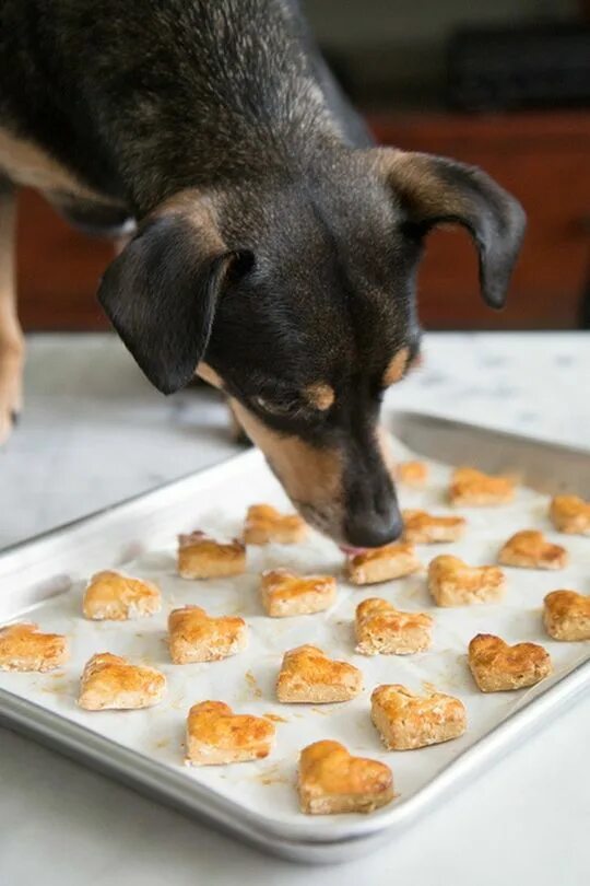 Картофель и собака. Потато дог. Potato dog. Potato dog. Potato dog.
