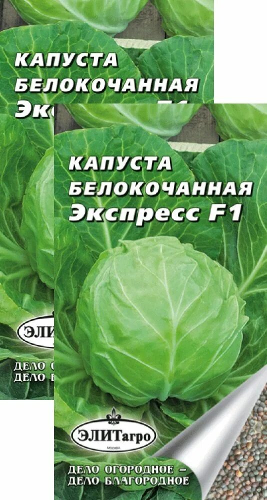 Купить Семена Капуста цветная Экспресс МС от Гавриш, 1804