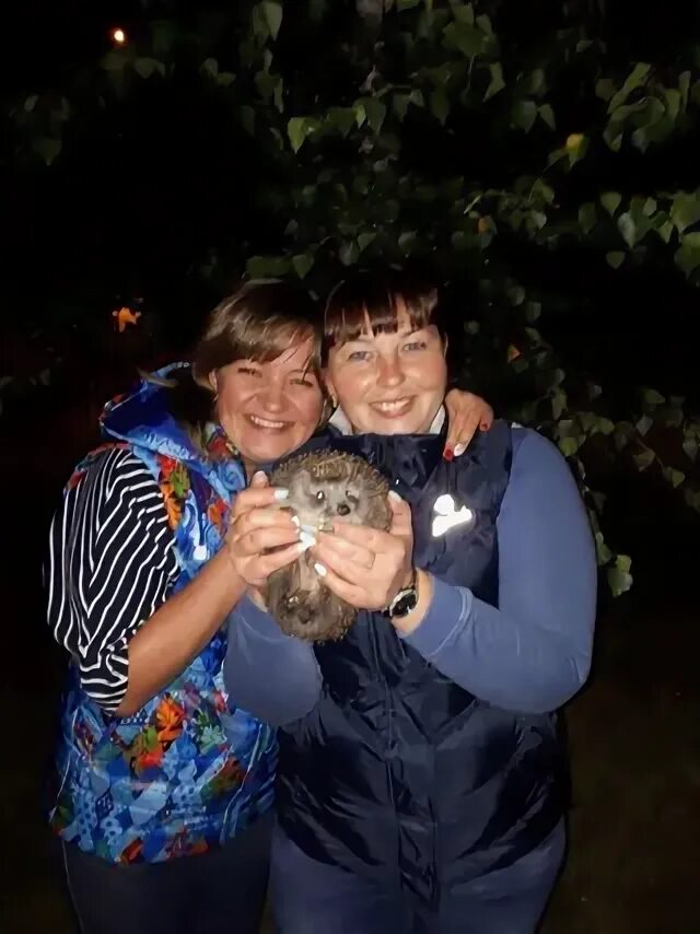 Яхрома 38. Яхрома 38
