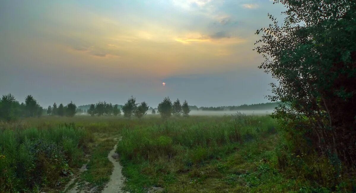 выхожу я утром на дорогу. девушка уходит. утро на быстринском. мила франк фото. утро на 5 2012.