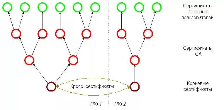 Корневой и промежуточный сертификат