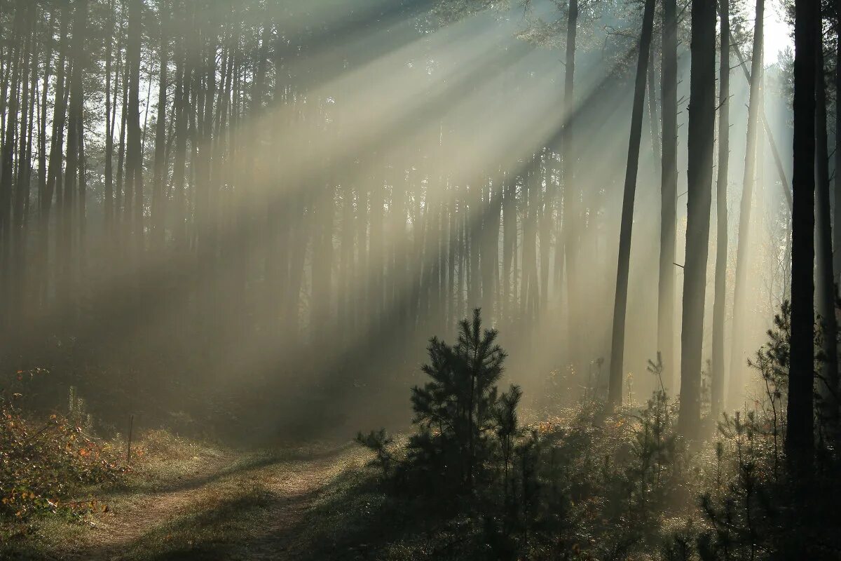 Стихи о надежде на лучшее. Свет солнца. Завод в тумане. Луч надежды картинки. Лучи солнца.