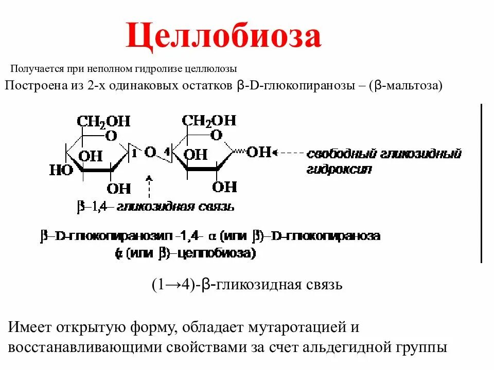 Целлобиоза + br2. Целлобиоза это олигосахарид. Целлобиоза мутаротация. Целлобиоза гидроксиламин. Физические свойства гидролиза