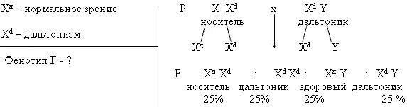 Девочка может страдать дальтонизмом если. Генетика пола задачи. Задачи на дальтонизм. Генетическая задача на дальтонизм. Фенотипы детей не страдающих дальтонизмом.