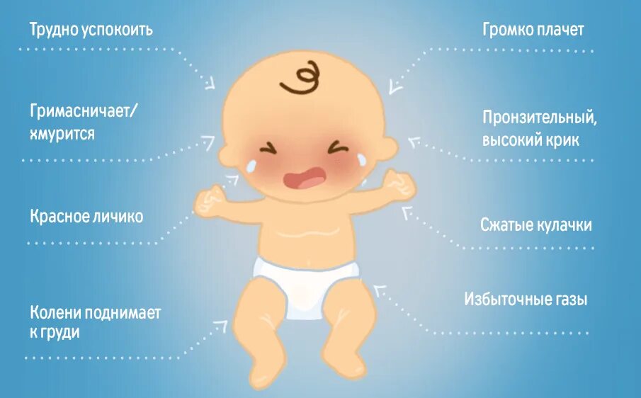 6 месяцев ребенку газы