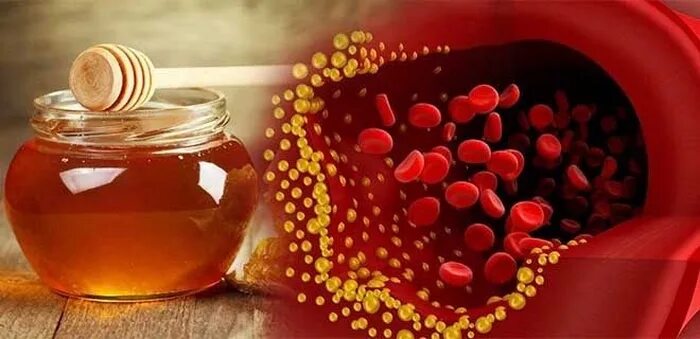 Кровь мед видео. Мед и холестерин. Мед понижает холестерин. Мед и холестерин в крови. Мед при высоком холестерине.