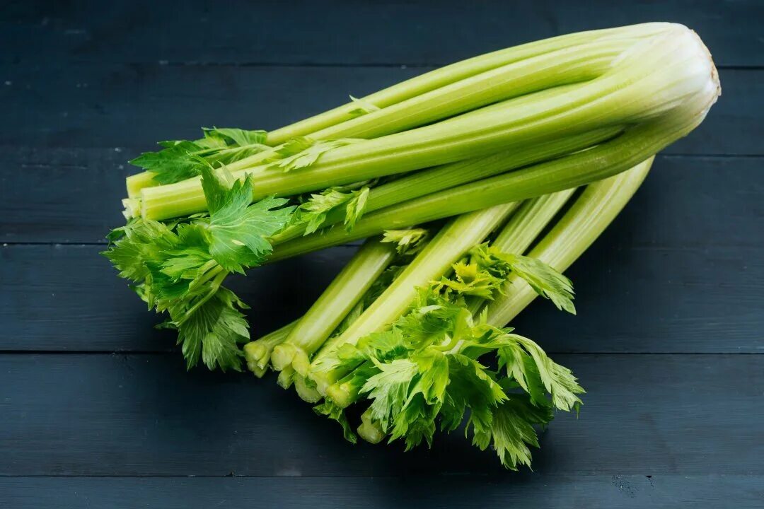 Сельдерей стеблевой фото. Сельдерей черешковый. Сельдерей celery. Черешки сельдерея. Сельдерей Кельвин.