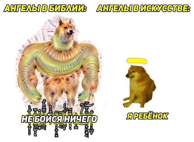 чакра прикола. шутки про чакры. эзотерические шутки. смешно о чакрах. чакра прикола.